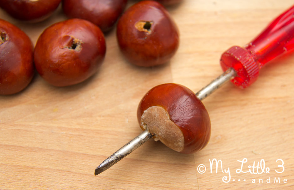 Baby and Toddler Conker (Buck Eye) Play Ideas 