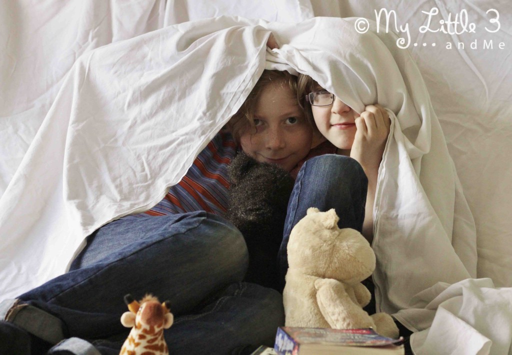 Den Building - 100 days of play