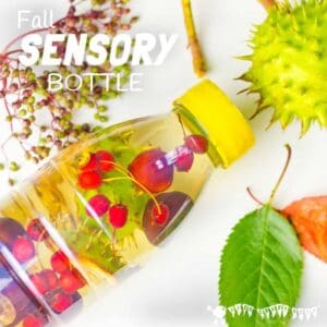 FALL SENSORY BOTTLES - It's easy to let babies and toddlers explore the colours, sounds, shapes and patterns of Fall/Autumn safely with attractive homemade sensory bottles.