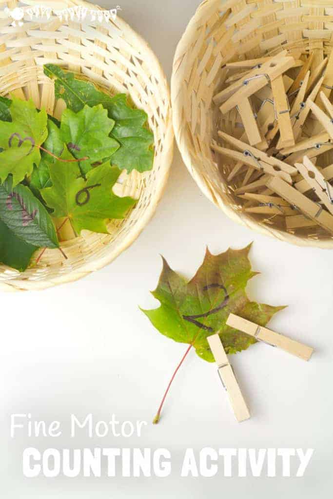 FINE MOTOR COUNTING ACTIVITY - This wonderful seasonal counting activity uses leaves to develop early math one to one correspondence, number recognition and develop fine motor skills too. #motorskills #finemotorskills #natureactivities #naturecrafts #kidscraftsroom #kidsactivities #earlyyears #ECE #preschool #prek #preschoolactivities