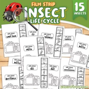 15 Free Insect Life Cycle Film Strip Activities For Kids