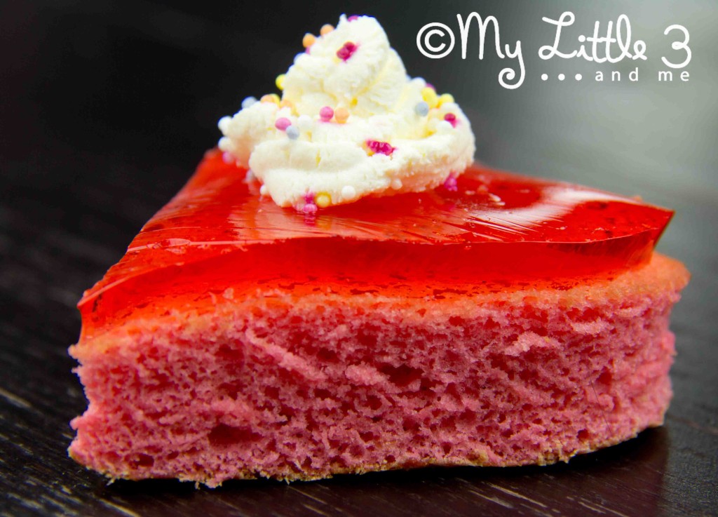 Delicate and Light Pink Sponge