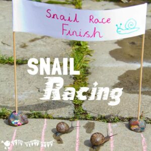 Ready, steady, slow! Use SNAIL RACING to learn SNAIL FACTS. A fun ANIMAL SCIENCE activity for the whole family and a great way for kids to learn about our slimy garden snail friends.