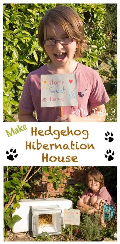 Hedgehogs numbers are declining! How about lending Nature a helping hand and making a Hedgehog House for these adorable creatures?