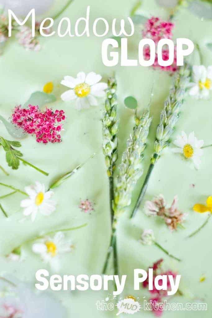 Meadow Oobleck/Gloop is an exciting sensory play opportunity that stimulates kids senses, connects them with Nature and promotes many areas of learning.