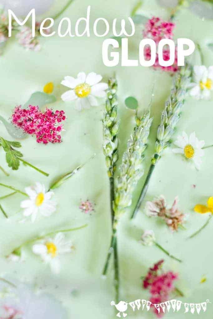 Meadow Oobleck / Gloop is an exciting sensory play activity that stimulates kids senses, connects them with Nature and promotes many areas of learning. Kids will love this sensory play idea. #sensory #sensoryplay #sensoryplayideas #sensorybins #natureactivities #naturecrafts #kidscraftsroom #kidsactivities #earlyyears #ECE #preschool #prek #preschoolactivities #gloop #oobleck #sensoryplayrecipe