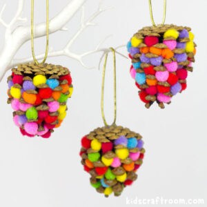 Colourful Pom Pom Pinecones
