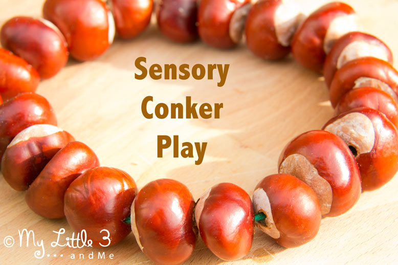 Baby and Toddler Conker (Buck Eye) Play Ideas 